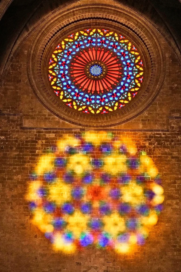 4486f89a8518475ab52b4a2f5a90037e_4_11zon