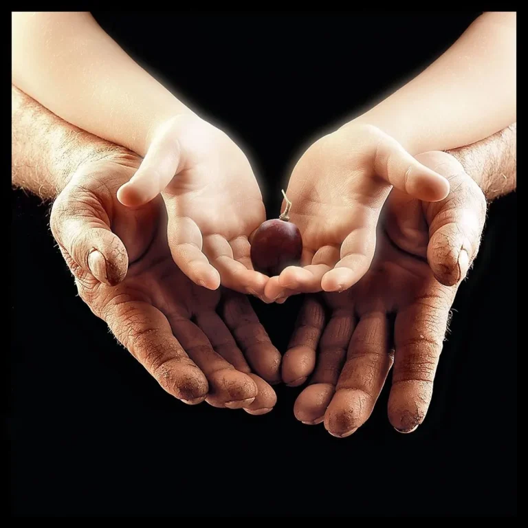 706895262334444a940c52f5253b1b04_6_11zon