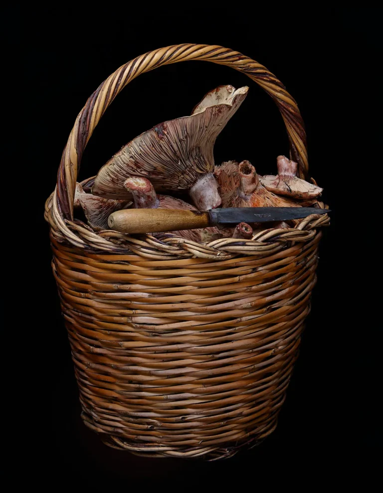 b2b7e97f21974852b2872d1dfed59a17_7_11zon