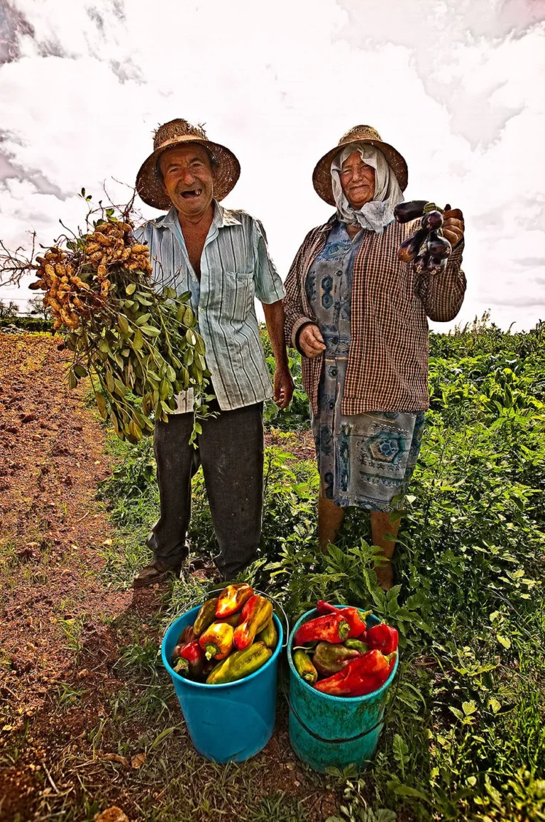 d829446060574e74a0b8ed3afd61ed7f_10_11zon